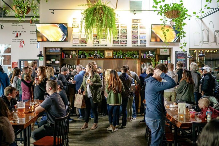 lenny boy kombucha 768x513