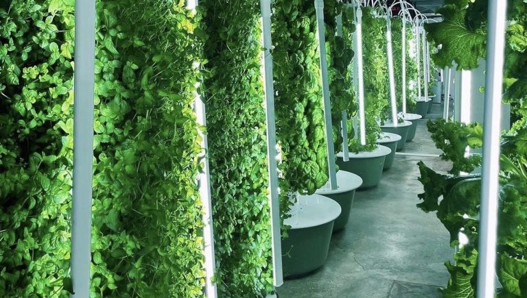 Gather in Omaha 2 768x435