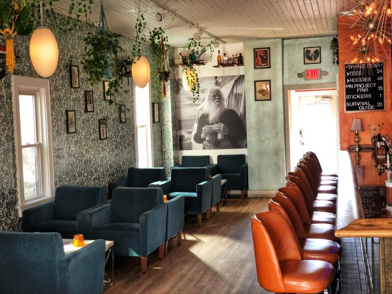 Lost Whale 1 768x576