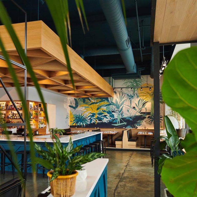 Yellowbelly 1 768x766