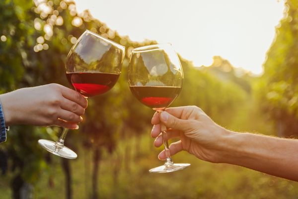 fre non-alcoholic wine