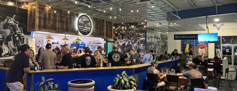 Whale Tale 2 768x295