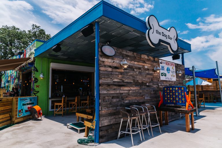 The Dog Bar 1 768x512